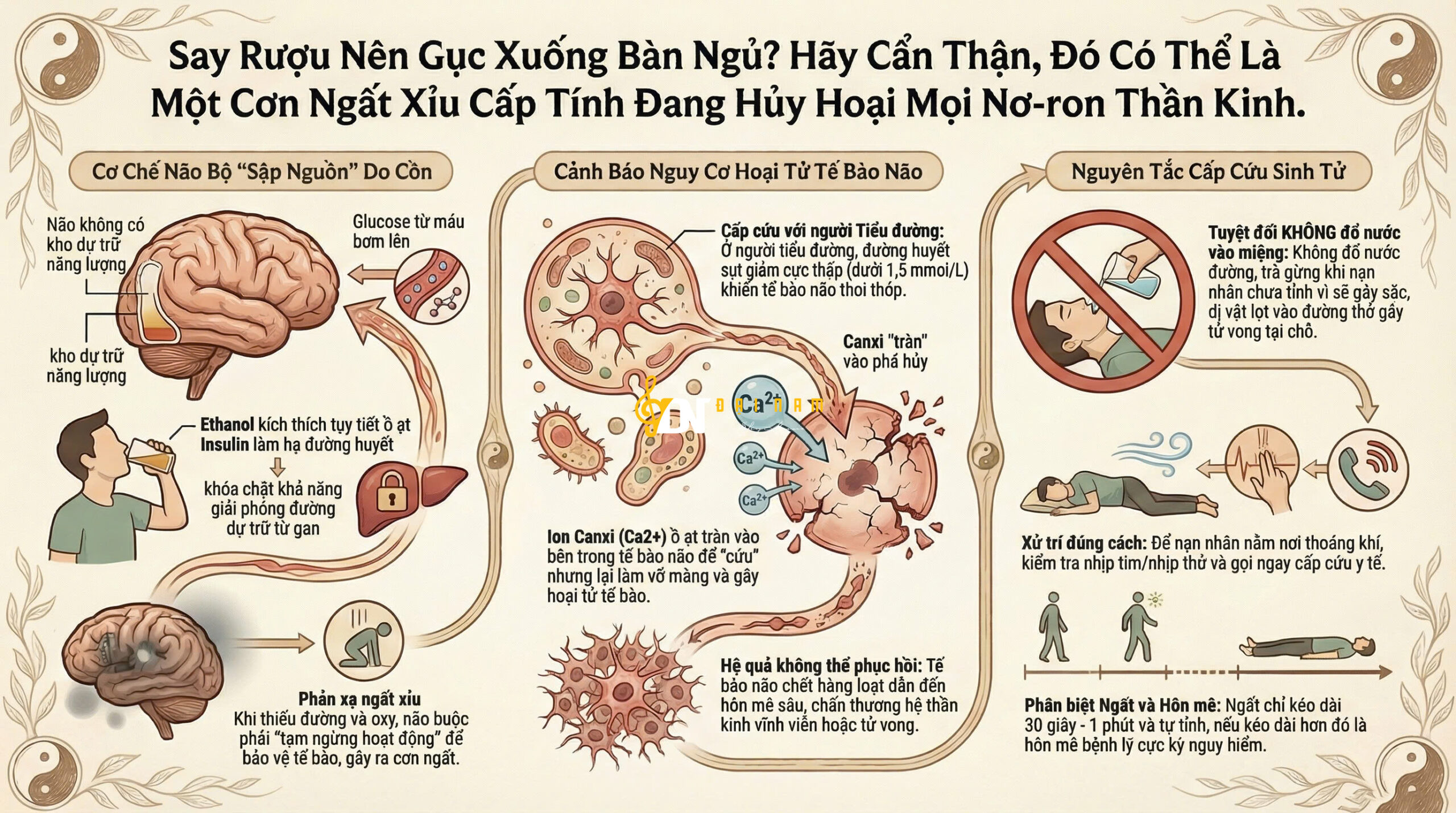 Say Rượu Nên Gục Xuống Bàn Ngủ? Hãy Cẩn Thận, Đó Có Thể Là Một Cơn Ngất Xỉu Cấp Tính Đang Hủy Hoại Mọi Nơ-ron Thần Kinh.