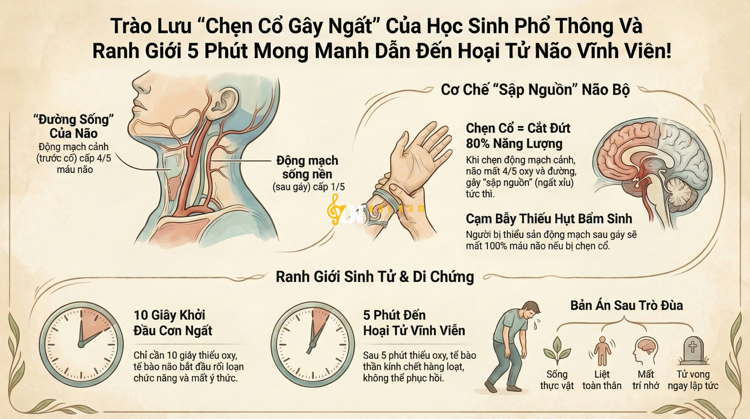 Trào Lưu “Chẹn Cổ Gây Ngất” Của Học Sinh Phổ Thông Và Ranh Giới 5 Phút Mong Manh Dẫn Đến Hoại Tử Não Vĩnh Viễn!
