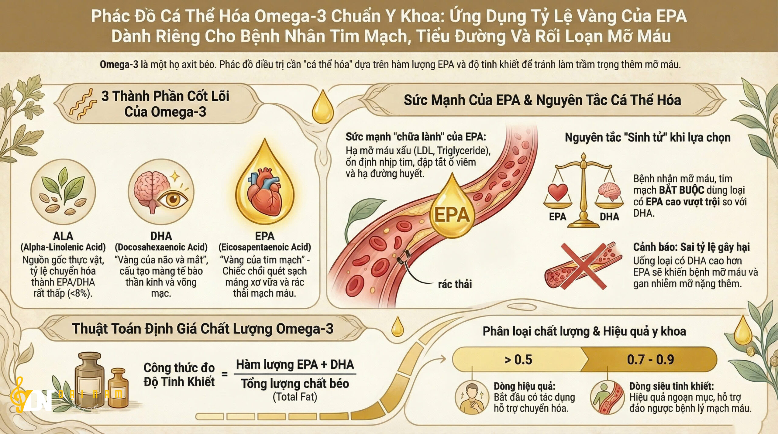 Phác Đồ Cá Thể Hóa Omega-3 Chuẩn Y Khoa: Ứng Dụng Tỷ Lệ Vàng Của EPA Dành Riêng Cho Bệnh Nhân Tim Mạch, Tiểu Đường Và Rối Loạn Mỡ Máu